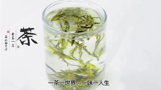 四食豐語|萬八千的春茶，自己在家就能做