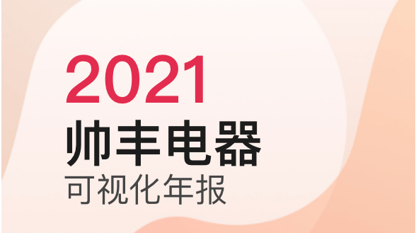 2021年帥豐電器可視化年報