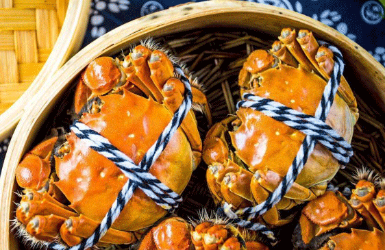 嗨翻618|鎖定帥豐直播間，開啟視覺+味覺盛宴！