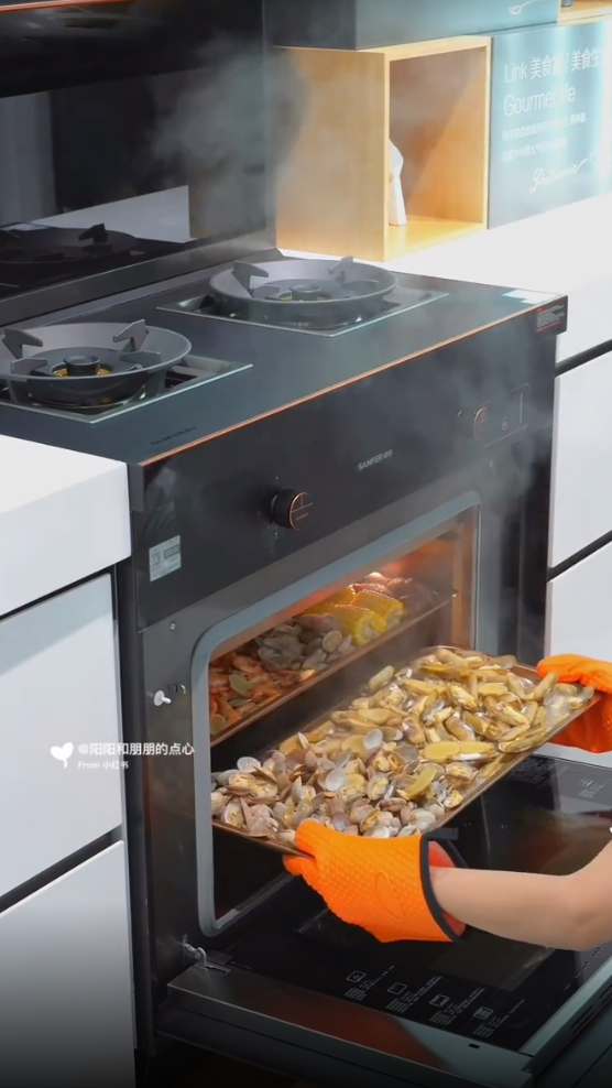 帥豐X6集成灶爆火出圈！抖音、小紅書達人合力推薦！