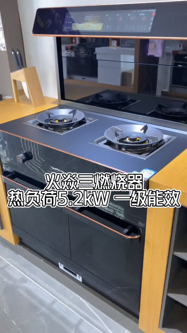 集成灶哪個品牌好？這個十大品牌讓抖音多領域達人紛紛推薦