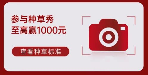 帥豐電器再奪全網(wǎng)第一！雙十一當(dāng)天限時(shí)直降，狂歡最后一天！