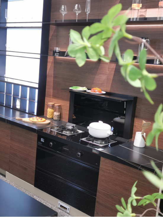 帥豐廚房節(jié)質(zhì)惠315，集成灶+集成灶水槽洗碗機盡在帥豐直播間