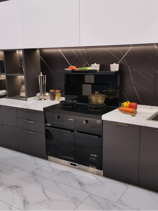 集成灶哪種品牌的好？TJ3多種功能讓廚房生活無比精彩