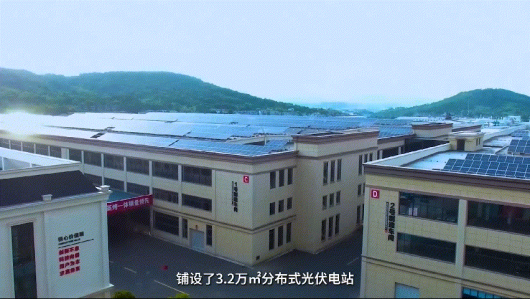 護生態(tài)，行低碳，集成灶品牌帥豐在行動！