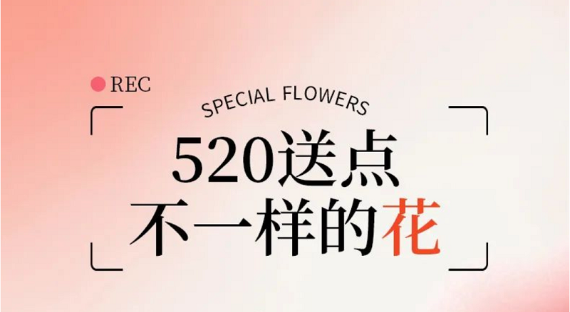  520送點(diǎn)不一樣的“花”吧