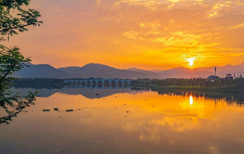 定了！定了??！帥豐電器獨(dú)家冠名的氧氣BAOBAO音樂(lè)節(jié)來(lái)啦！