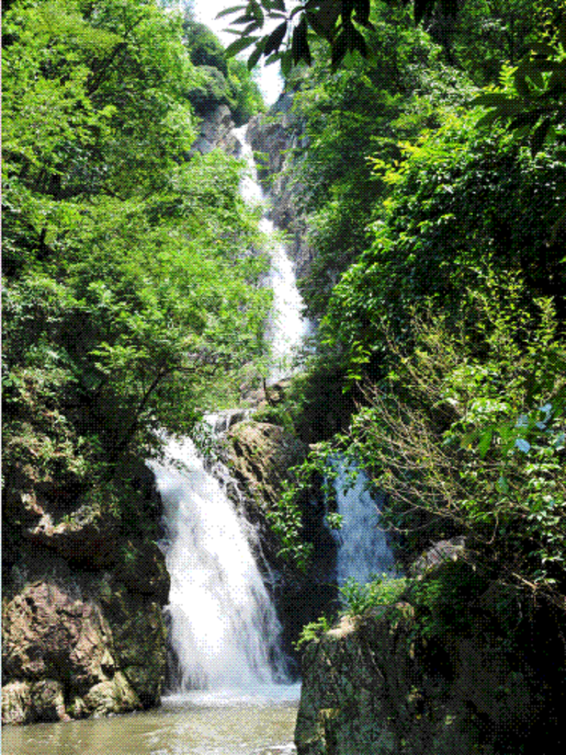 定了！定了??！帥豐電器獨(dú)家冠名的氧氣BAOBAO音樂(lè)節(jié)來(lái)啦！