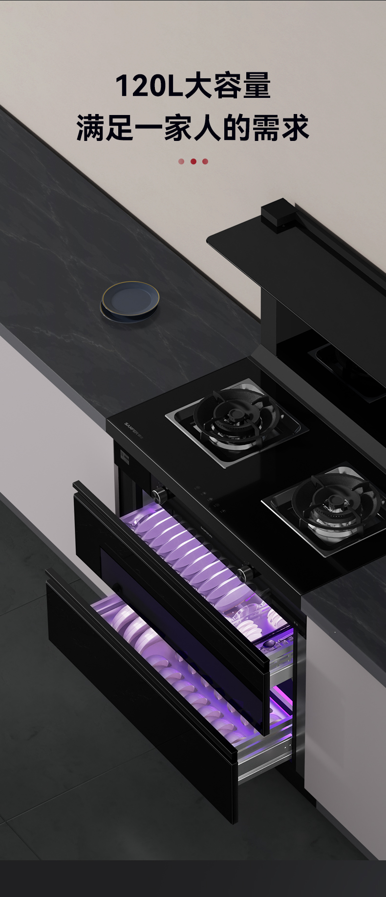 帥豐TJ1消毒柜款集成灶