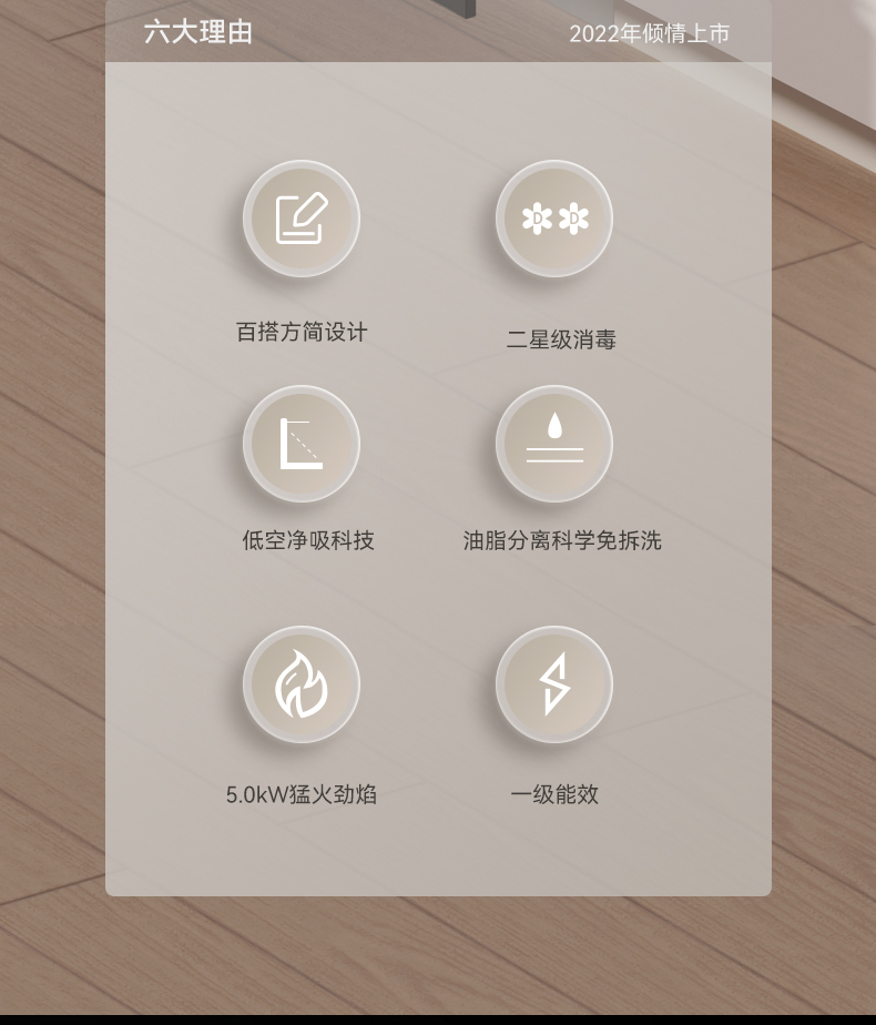 帥豐TJ1消毒柜款集成灶