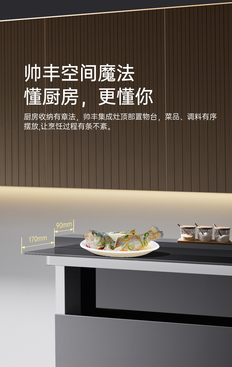 帥豐理想L1儲物柜款集成灶