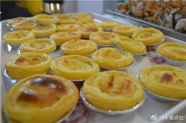 買集成灶選什么品牌？老用戶力薦選購秘籍