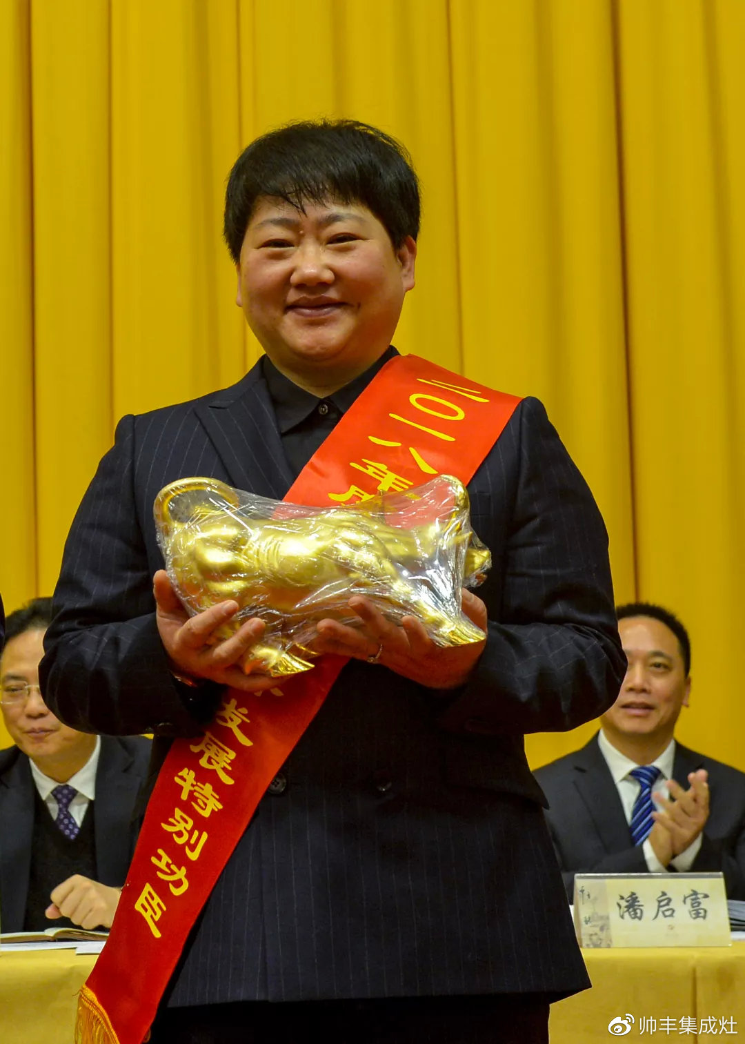 工業(yè)企業(yè)三十強、納稅二十強、金牛獎，連獲三項大獎，帥豐成2018大贏家