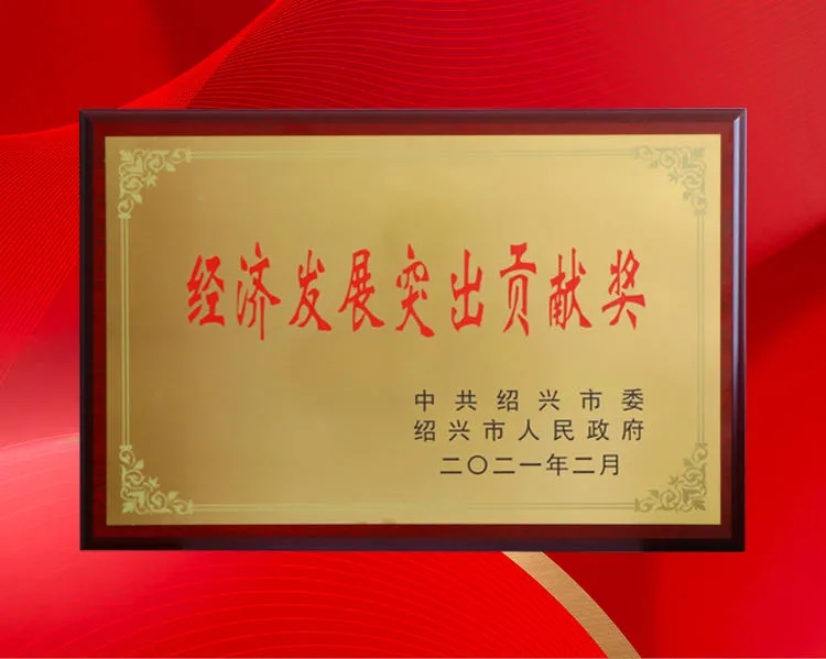 開門紅！帥豐斬獲“工業(yè)企業(yè)30強”、“經(jīng)濟發(fā)展功臣”等多項大獎