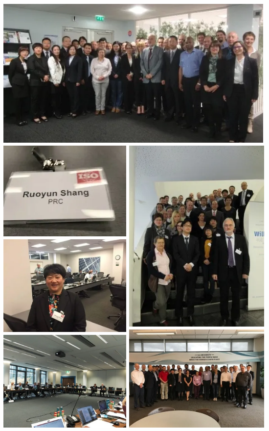 帥豐電器獲批首批省級標準國際化試點單位：把握中國標準工作歷史機遇期，走高質量發(fā)展之路