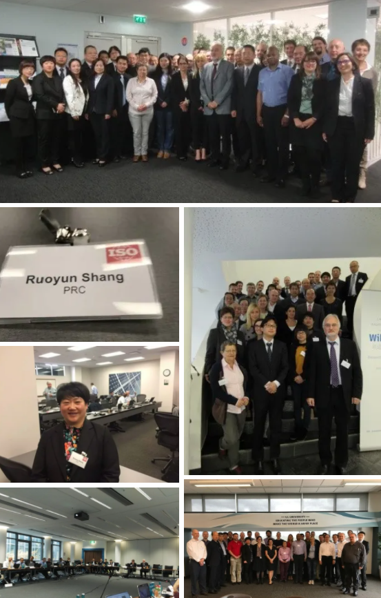 科技創(chuàng)新、標準引領、服務賦能，帥豐集成灶“奪冠”2021新增市場